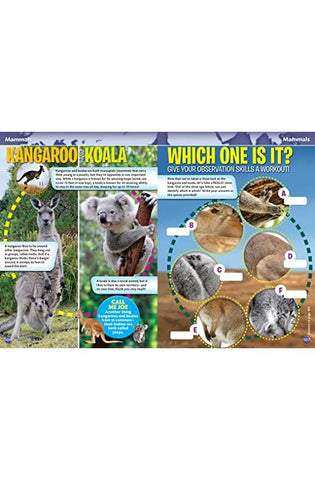 Image of Smithsonian Everything You Need to Know Activity Book