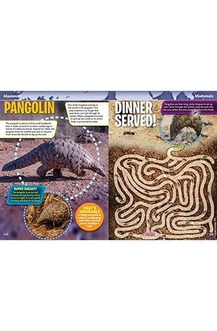 Image of Smithsonian Everything You Need to Know Activity Book