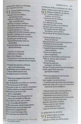 Image of Biblia RVR 1960 de Estudio Temática Miguel Núñez Piel Duotono Marrón