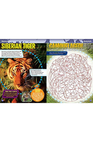 Image of Smithsonian Everything You Need to Know Activity Book