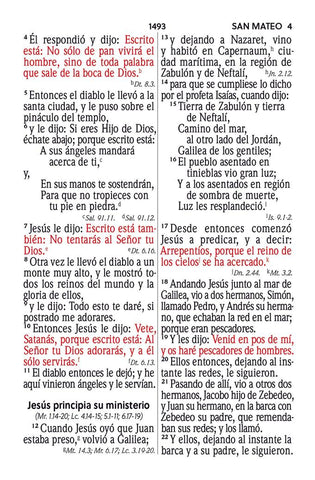 Image of Biblia RVR 1960 Compacta Letra Grande 11 puntos Símil Piel Melon Beige Granate Oscuro
