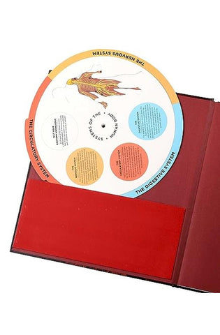 Image of Anatomy Explorer