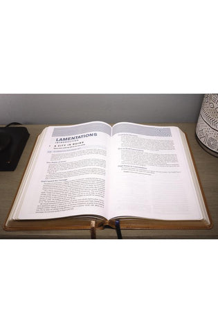 Image of NIV, Student Bible, Personal Size, Leathersoft, Tan, Comfort Print