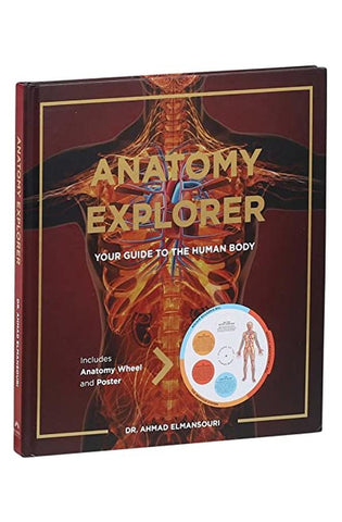 Image of Anatomy Explorer