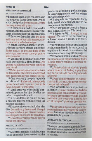 Image of Biblia RVR 1960 Letra Grande Tamaño Manual Símil Piel Marrón