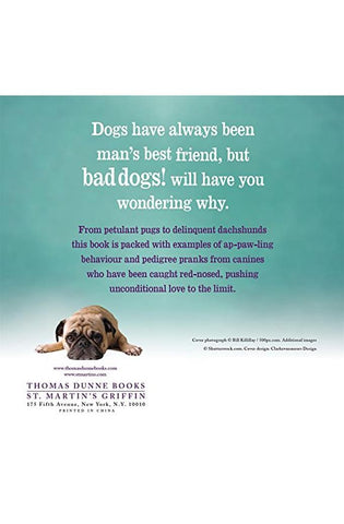 Image of Bad Dogs