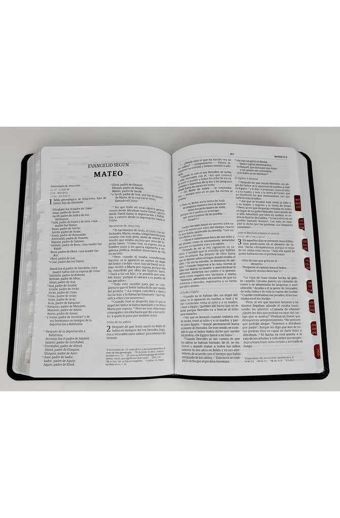 Biblia NVI Ultrafina Negro Piel Fabricada con Índice