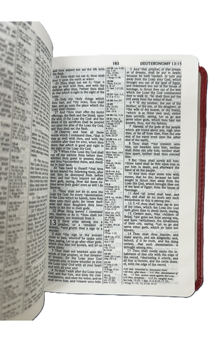 Image of KJV HOLY BIBLE COMPACT DUOTONE PINK