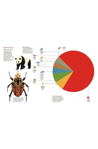 Image of Our World: By the Numbers