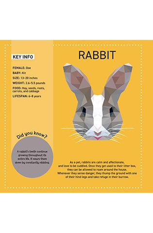 Image of My Sticker Paintings: Pets: 10 Magnificent Paintings (Happy Fox Books) For Kids Ages 6-10 - Dogs, Cats, Birds, Fish, Bunny, and More, with Up to 80 Removable, Reusable Stickers per Design
