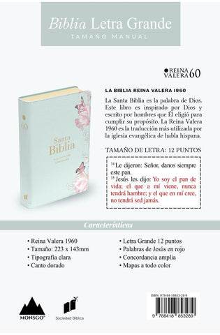 Image of Biblia RVR 1960 Letra Grande Tamaño Manual Símil Piel Salvia Claro