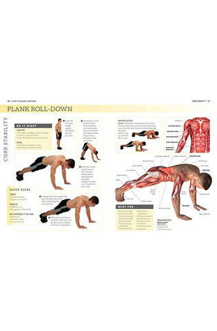 Image of Core Training Anatomy (Anatomies of)