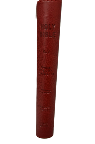 Image of KJV HOLY BIBLE COMPACT DUOTONE PINK