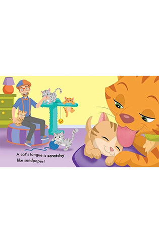 Image of Blippi: Pets (Touch and Feel)