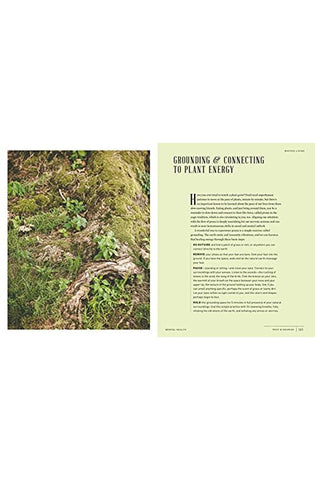 Image of Root & Nourish: An Herbal Cookbook for Women's Wellness