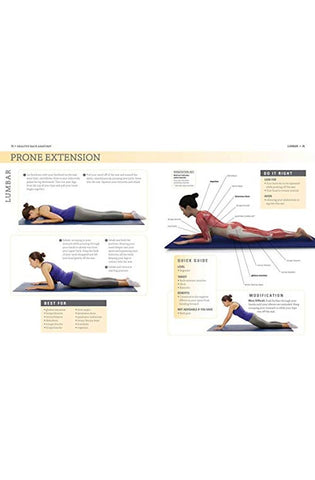 Image of Healthy Back Anatomy (Anatomies of)