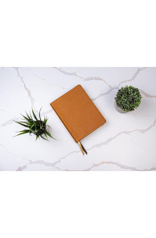 Image of Biblia RVR 1960 Ilustrada de la Tierra Santa Marrón Símil Piel con Índice