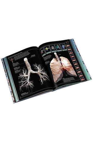 Image of Anatomy 360: The Ultimate Visual Guide to the Human Body