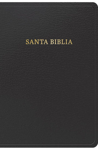 Image of Biblia RVR 1960 Letra Grande Tamaño Manual Símil Piel Negra