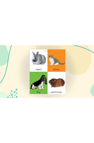 Image of First 100 Animals