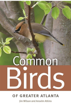 Common Birds of Greater Atlanta (Wormsloe Foundation Nature Books)