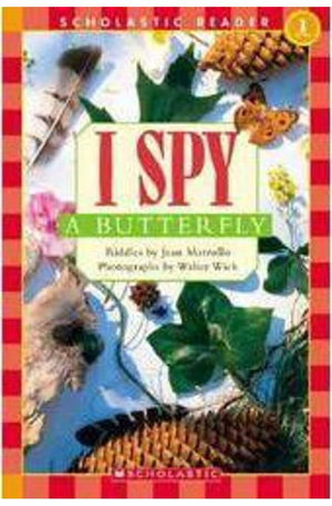 I Spy a Butterfly