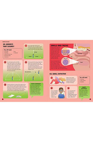 Image of Science Lab: Human Body