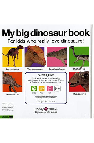 Image of My Big Dinosaur Book