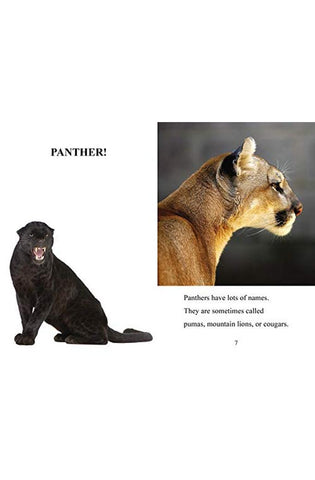 Image of Jungle Beasts: Level 2 (I Can Read! / Made By God)