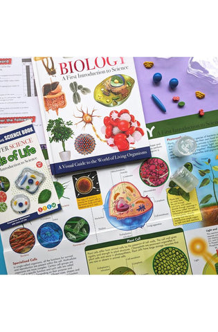 Image of Wonders of Learning WOLNBS25 6" Educational Box Set