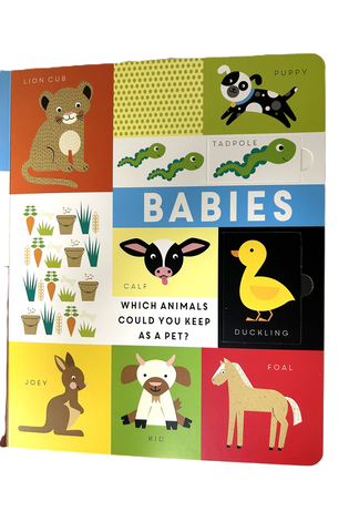 Image of Animals