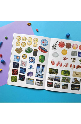 Image of Wonders of Learning WOLNBS25 6" Educational Box Set