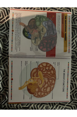 Image of The Human Body Book
