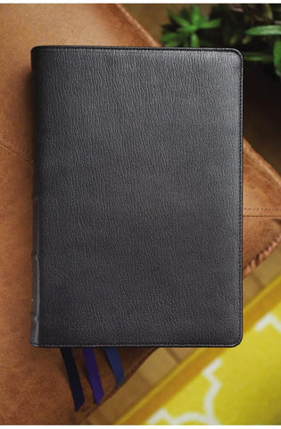 Image of NIV, Thompson Chain-Reference Bible, Premium Goatskin Leather, Black, Premier Collection, Black Letter, Art Gilded Edges, Comfort Print