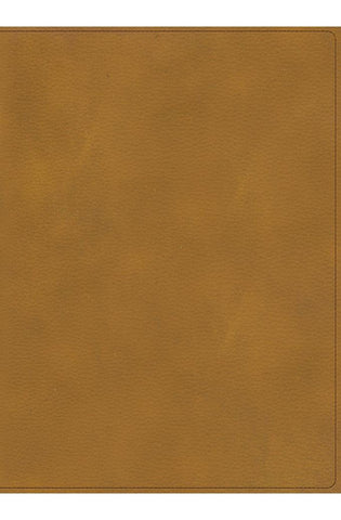 Image of Biblia RVR 1960 Ilustrada de la Tierra Santa Marrón Símil Piel con Índice