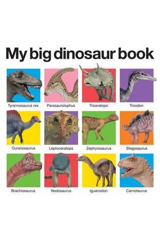 Image of My Big Dinosaur Book