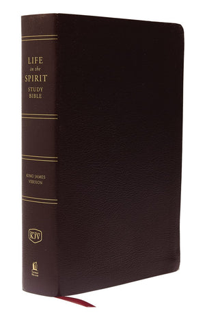 KJV Life in the Spirit Study Bible Indexed