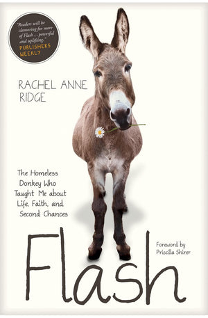 Flash: The Homeless Donkey Who Taught Me about Life, Faith, and Second Chances (Flash the Donkey)