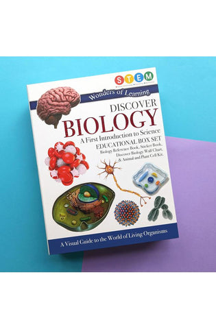 Image of Wonders of Learning WOLNBS25 6" Educational Box Set
