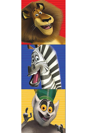 Madagascar Awesome Animals (Boxy Book Set)