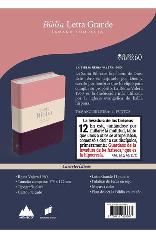 Image of Biblia RVR 1960 Compacta Letra Grande 11 puntos Símil Piel Melon Beige Granate Oscuro