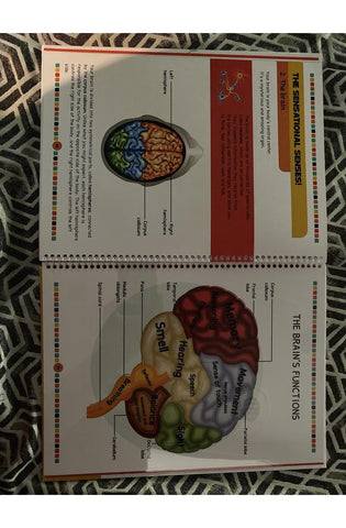 Image of The Human Body Book