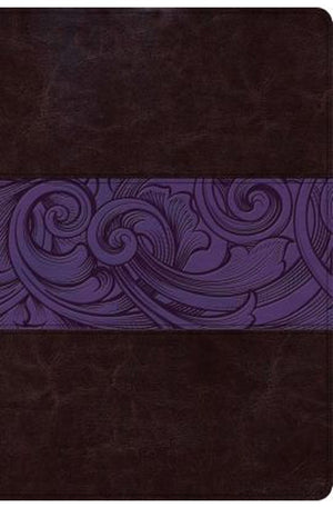 CSB Rainbow Study Bible Violet LeatherTouch Indexed