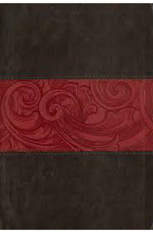 CSB Rainbow Study Bible Wine Leathertouch indexed