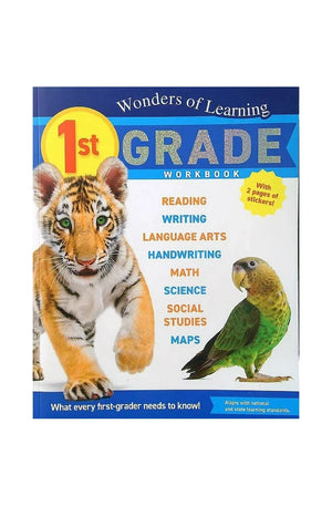 Wonders Of Learning Workbook Gr1