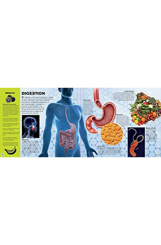 Image of The Ultimate Interactive Guide to the Human Body