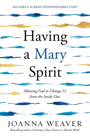 Having a Mary Spirit: Allowing God to Change Us from the Inside Out