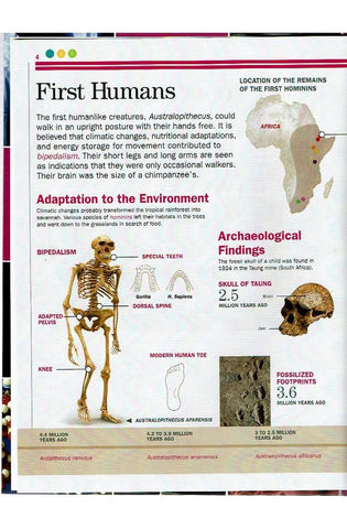 Image of Encyclopaedia Britannica Interactive Science Book: Humans
