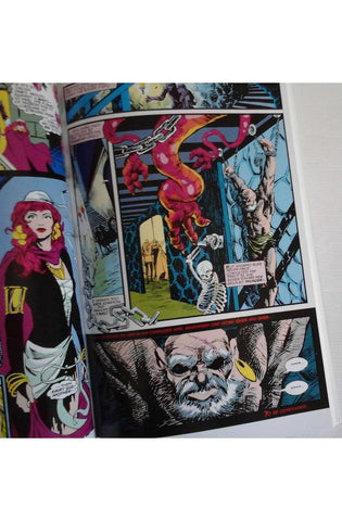 Image of Coyote Volume 5