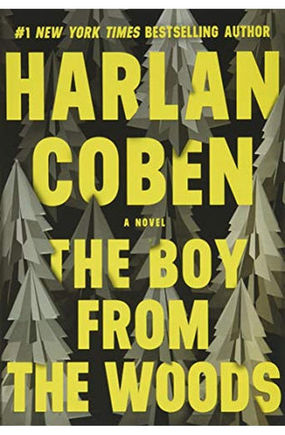 Image of The Boy from the Woods